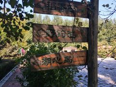 -白渔泡湿地公园