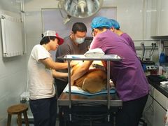 -达爱动物医院·犬猫分区·CT·复杂眼科(远洋山水分院)