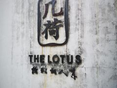 -几荷·恰似故人来(秀水广场店)