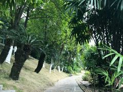 -三水森林公园