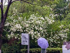 -尚贤河湿地