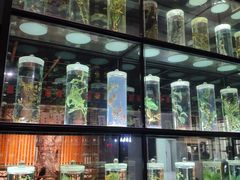 -广东中医药博物馆