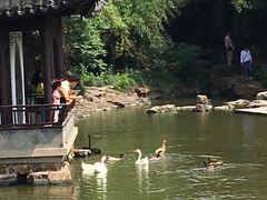 -水绘园