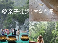 -西双版纳原始森林公园