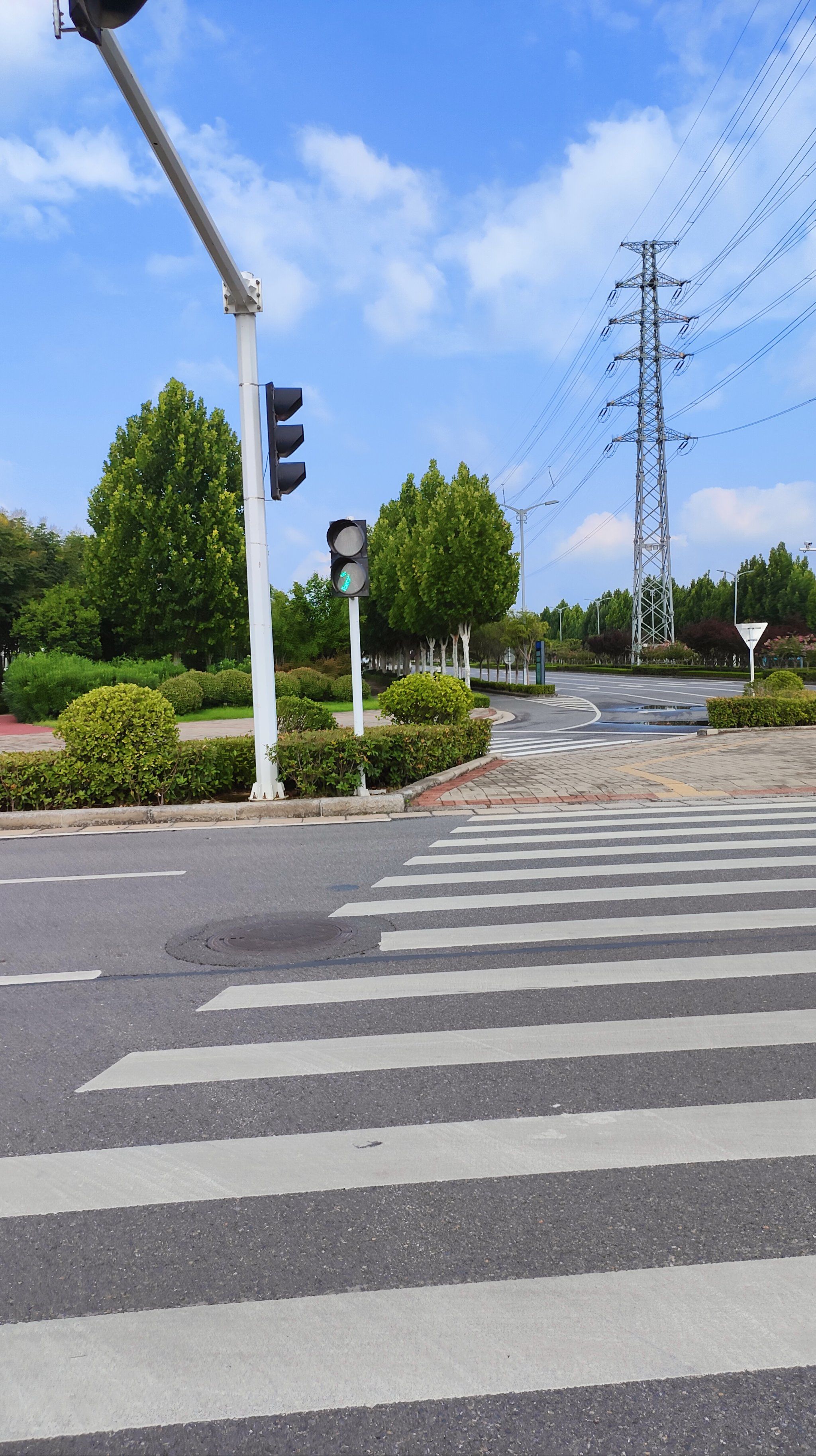 天天领红包 这红绿灯的小人是和我一样受