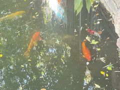 -春风习习