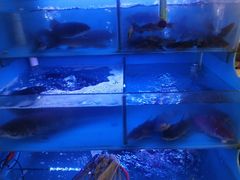水产区-韩妹鱼庄·泸定老字号(泸定店)
