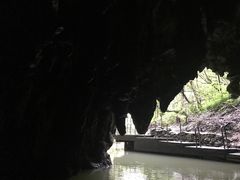 -怀托摩萤火虫洞