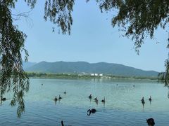 -长兴太湖图影湿地文化园
