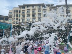 -老淳安—伴山伴湖(千岛湖开元度假村店)