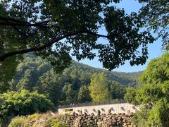 -九龙潭景区