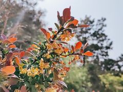 -北京植物园南门售票处
