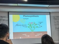 -新东方成人英语学习考试·口语·商务(延安路校区)