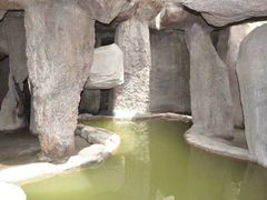 -泰华博悦大酒店