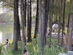 -四海公园(南山区)