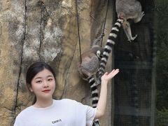 -灵玲国际马戏城