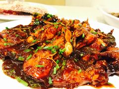 红烧鮰鱼-宏玲餐厅(四川南路店)