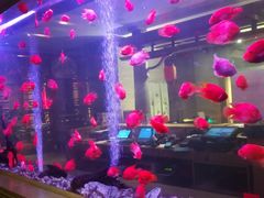 -面道特色餐厅·海口鲁能希尔顿酒店