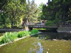 -叶家花园