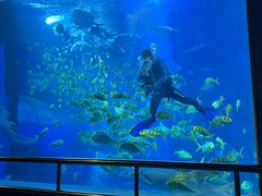 -太平洋海底世界