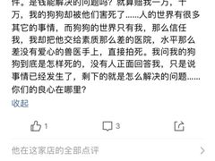 -伟伟宠物医院·CT影像中心·瑞派犬猫综合性门诊(汉口总院)
