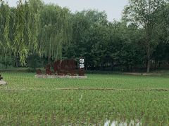 -北坞公园