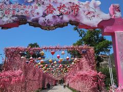 -北京凤凰岭