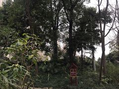 -成都市活水公园