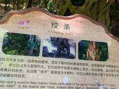 -南山植物园