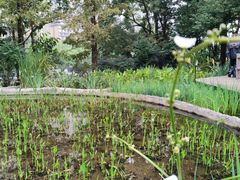 -成都市活水公园