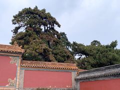 -北陵公园