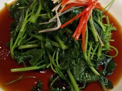 白灼芥兰苗-西安阳光国际大酒店·中餐厅