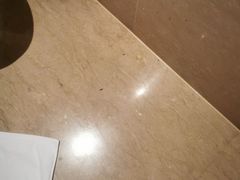 -天津滨海圣光皇冠假日酒店