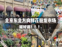 -百荣世贸商城