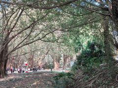 -北海市海滨公园