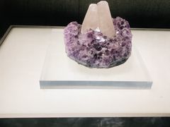 -青岛市博物馆