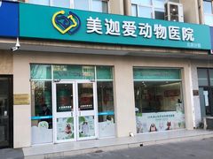 -美迦爱-牙专科·兔科·骨科诊疗中心(北苑店)