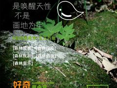 -朱雀国家森林公园