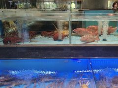 -阿伟海鲜楼·福建菜(延寿店)