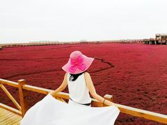 -红海滩国家风景廊道