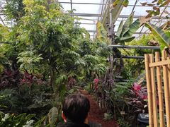 -呀路古热带植物园