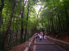 -灵岩山风景区