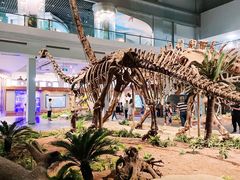 -自贡恐龙博物馆