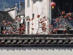 -塔川景区