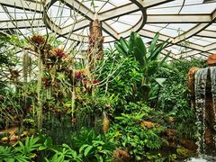 -昆明植物园