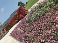 -光明小镇欢乐田园