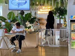 -Husky Go! 哈士奇体验馆·宠物咖啡厅狗咖