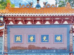 -深圳仙湖植物园