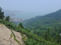 -崂山仰口游览区