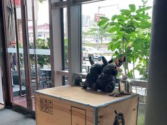 -LIN COFFEE CO(龙珠达店)